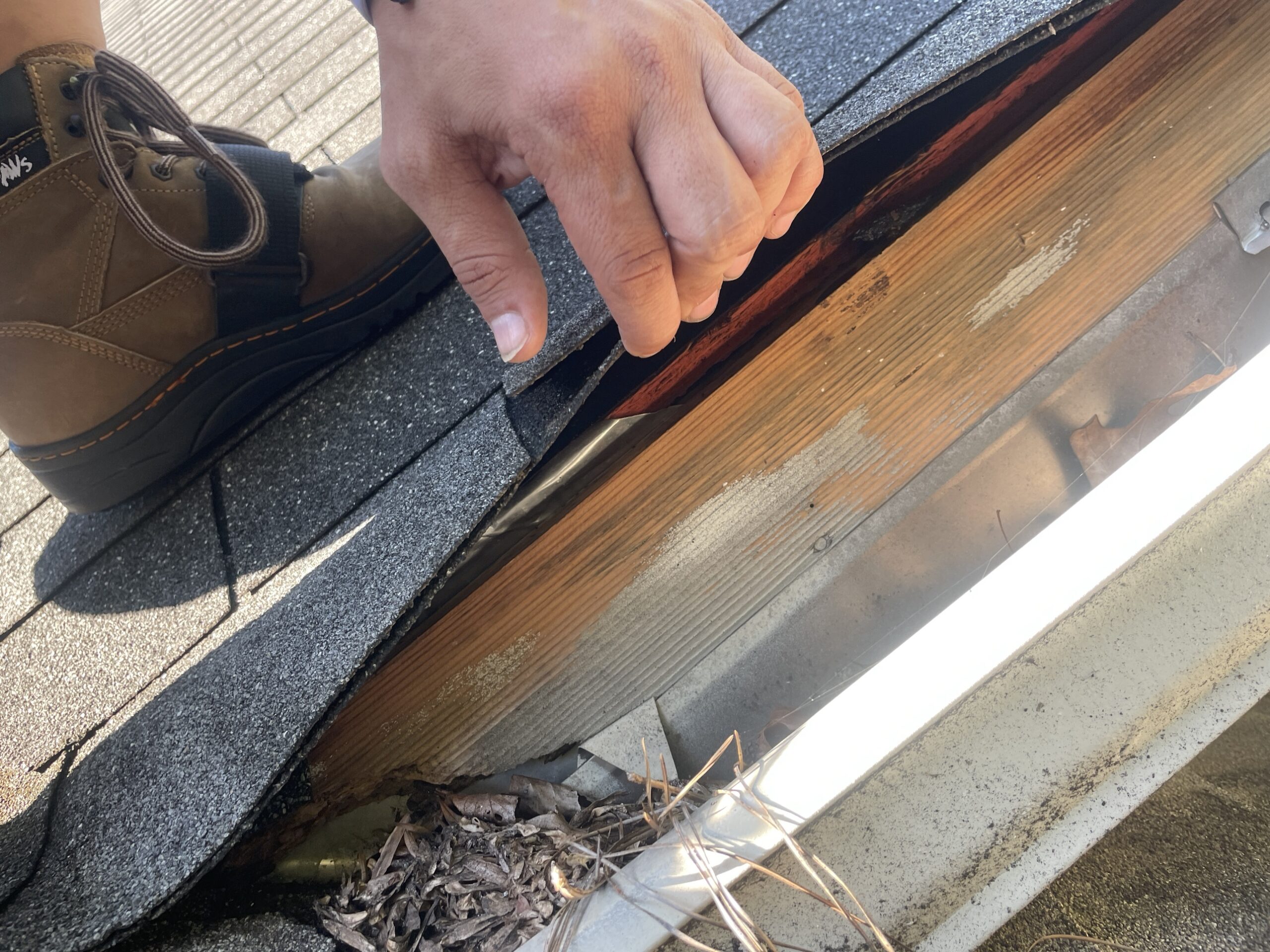 Roof edge with no gutter flashing installed