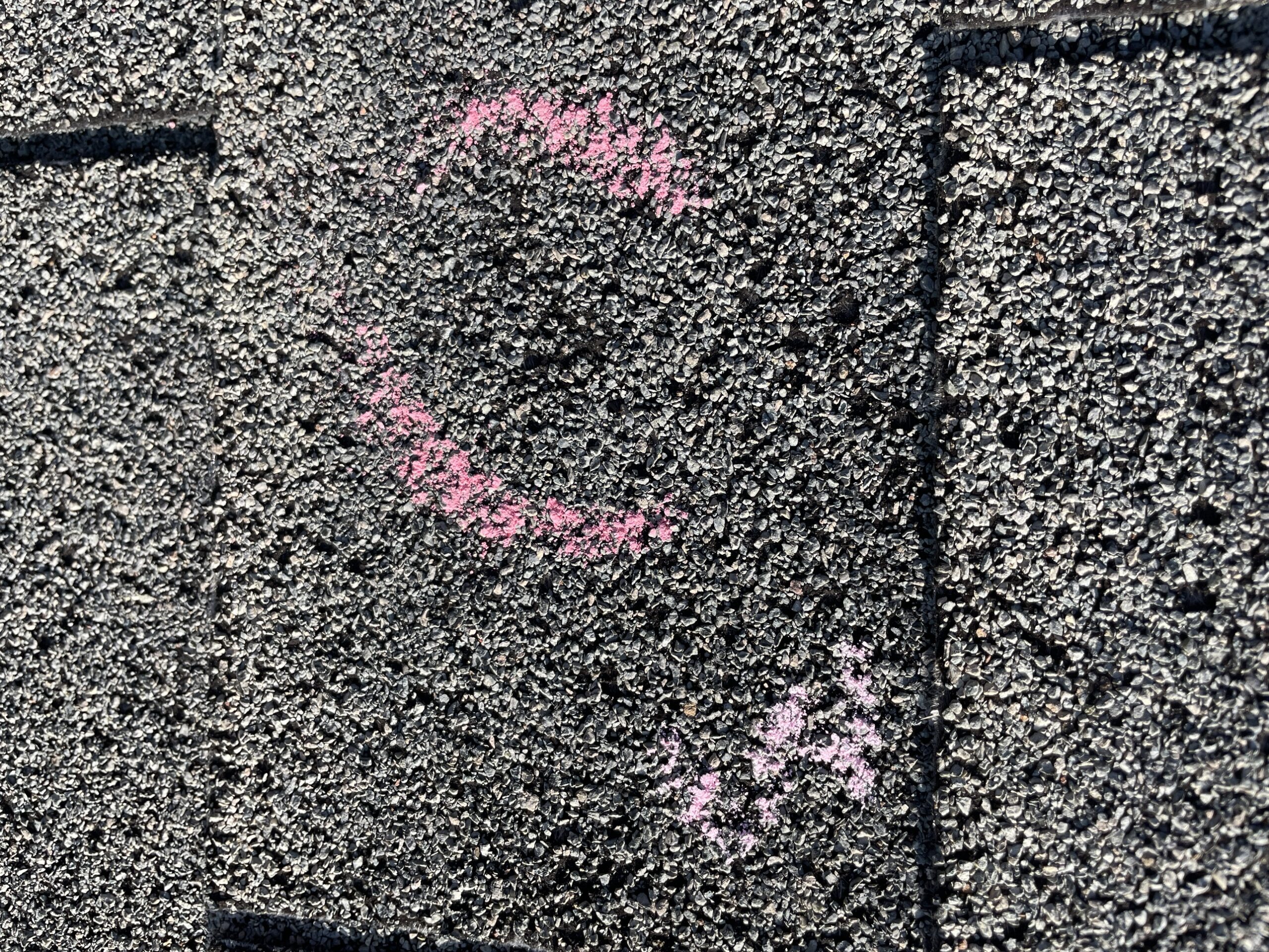 Hail impact mark circled on an asphalt shingle