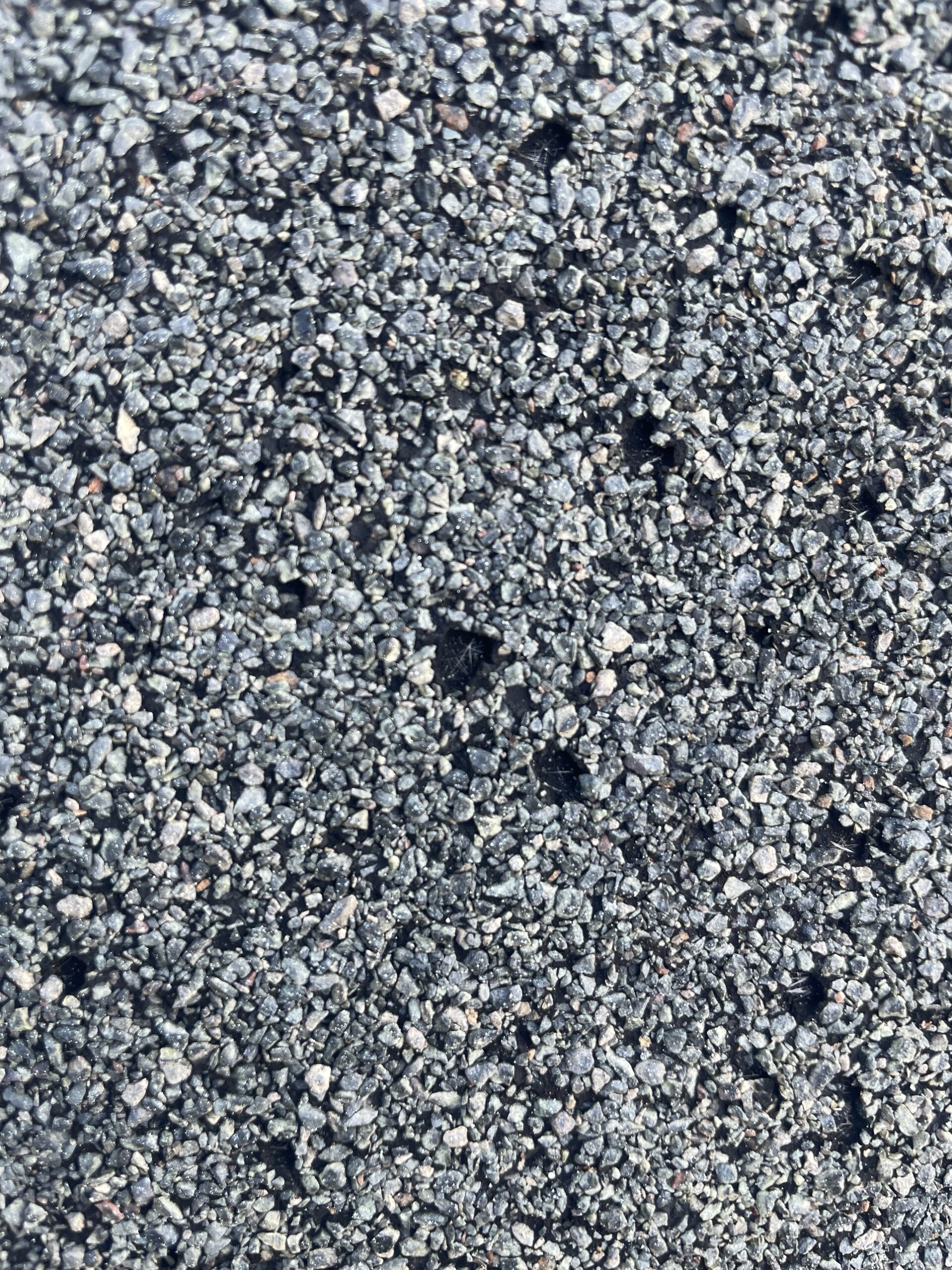 Heat blister on an asphalt shingle, often mistaken for hail damage