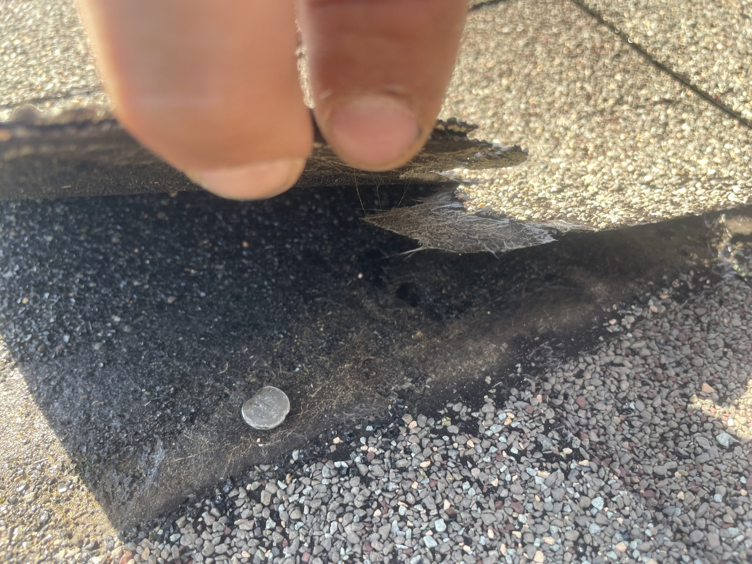 Shingle delamination on a six-year-old roof, layers peeling apart with a coin shown for scale